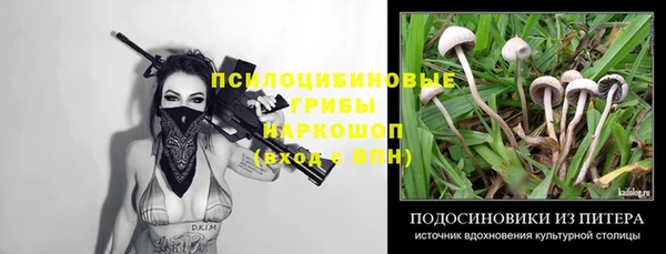spice Абдулино