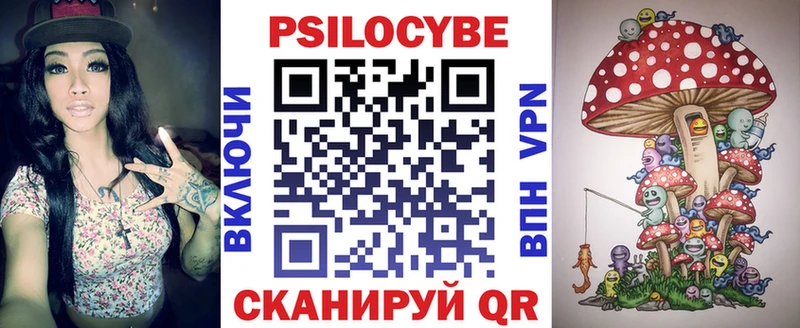 где можно купить   ссылка на мегу зеркало  Псилоцибиновые грибы Psilocybine cubensis  Алагир 